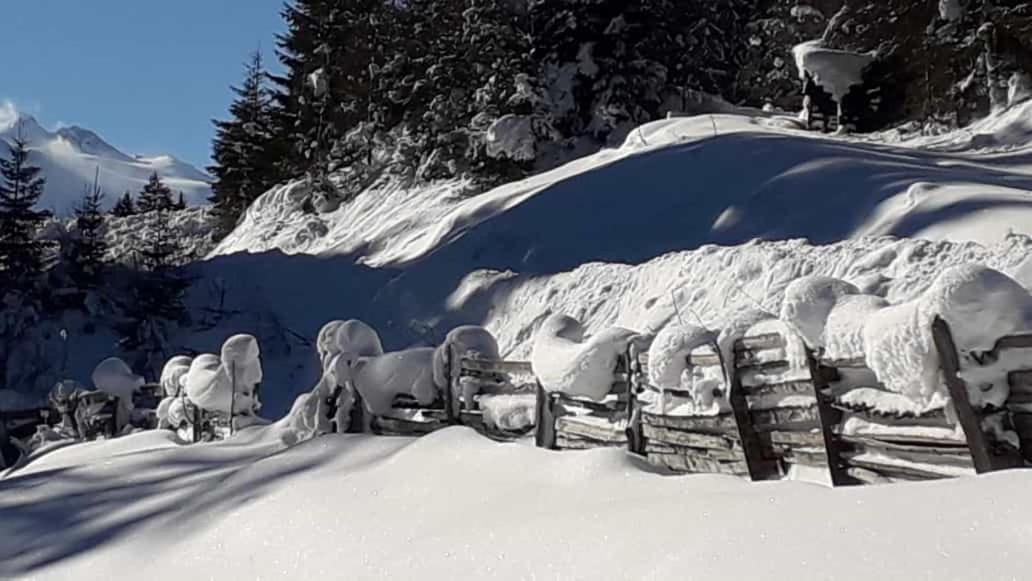 Apartment Jasmin Neustift im Stubaital Exterior photo